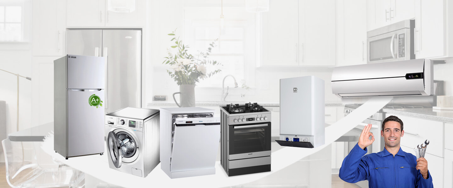 Akçakent Electrolux Servisi